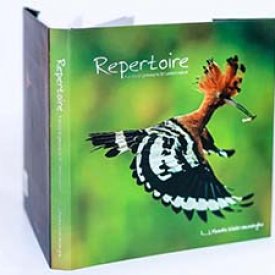 Repertoire